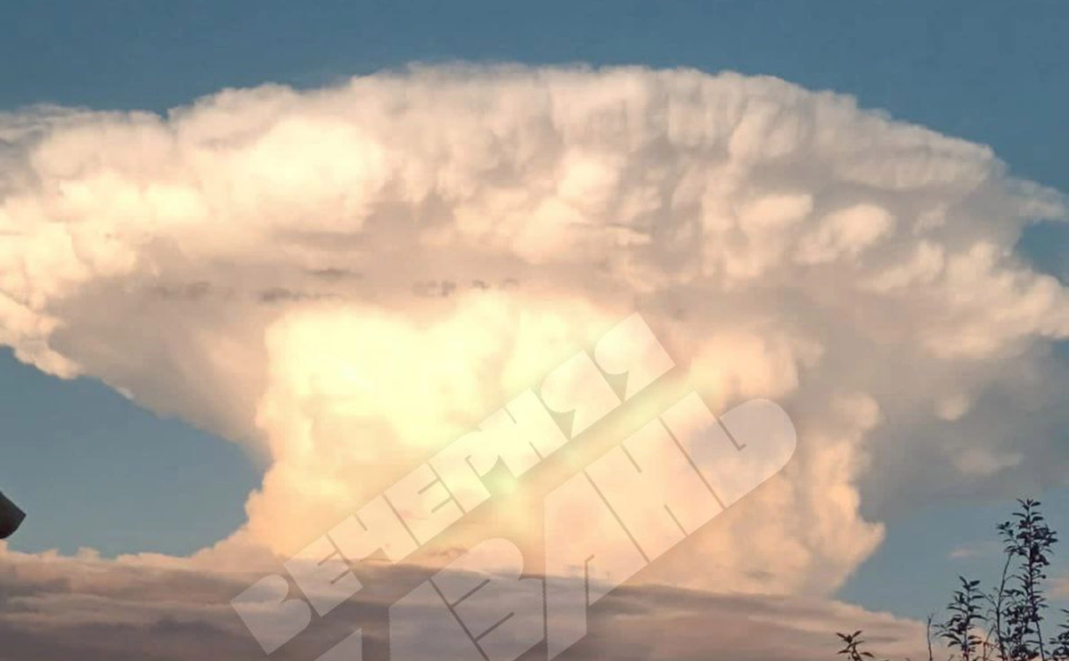 eveningkzn / Telegram