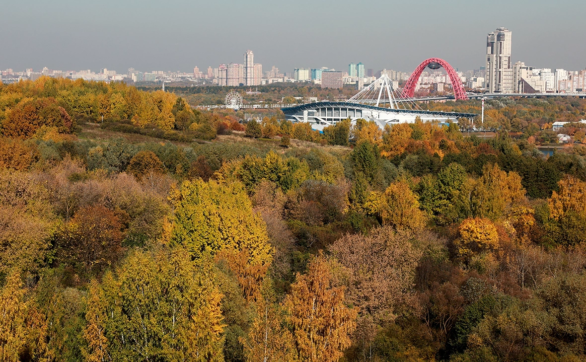 Вячеслав Прокофьев / ТАСС