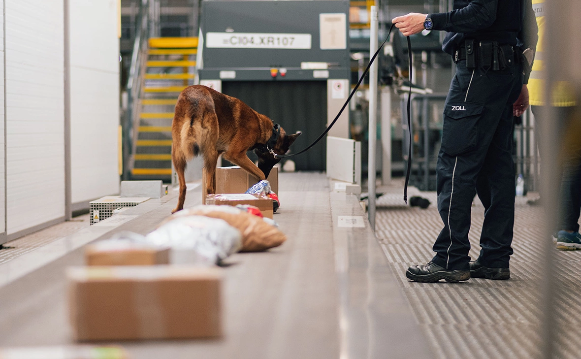 Marius Becker / dpa / Global Look Press