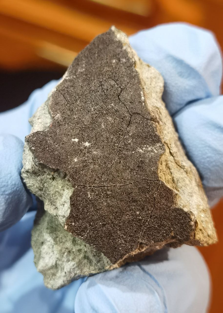 Фото: Константин Рязанцев / ГЕОХИ РАН