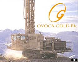 Ovoca Gold Plc. может лишиться лицензии на разработку "Гольцового"