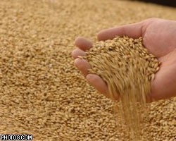 Отмена пошлин на зерно на руку сельхозпроизводителям