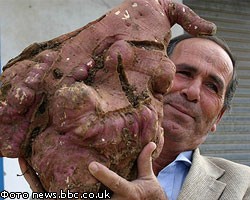 Житель Ливана вырастил 11-килограммовый картофель 