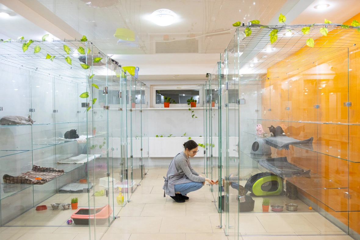 «Терракот»