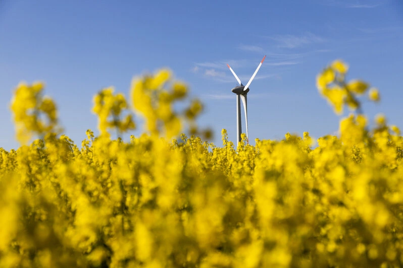 Александр Подгорчук