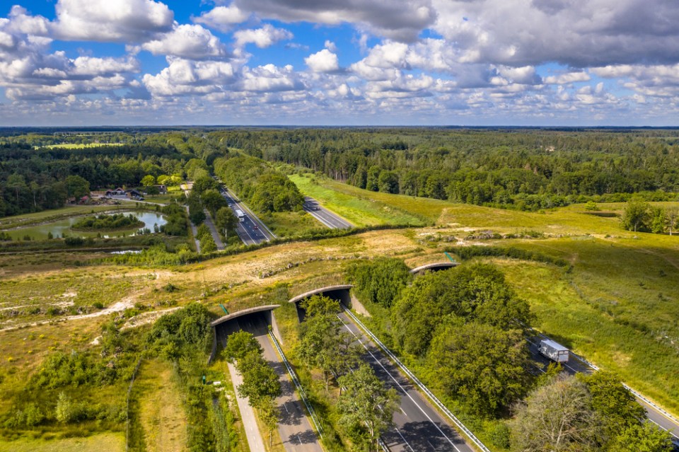 Экодук Natuurbrug Zanderij Crailoo.