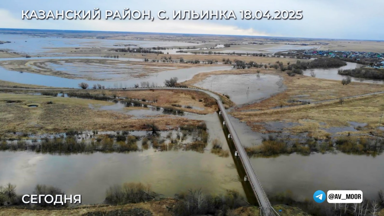 Фото: Александр Моор