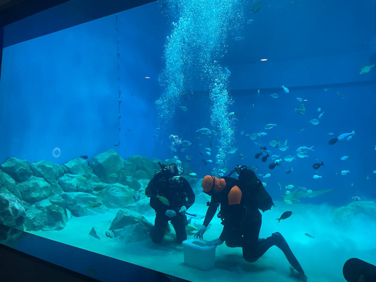 Фото: Марина Маркевич