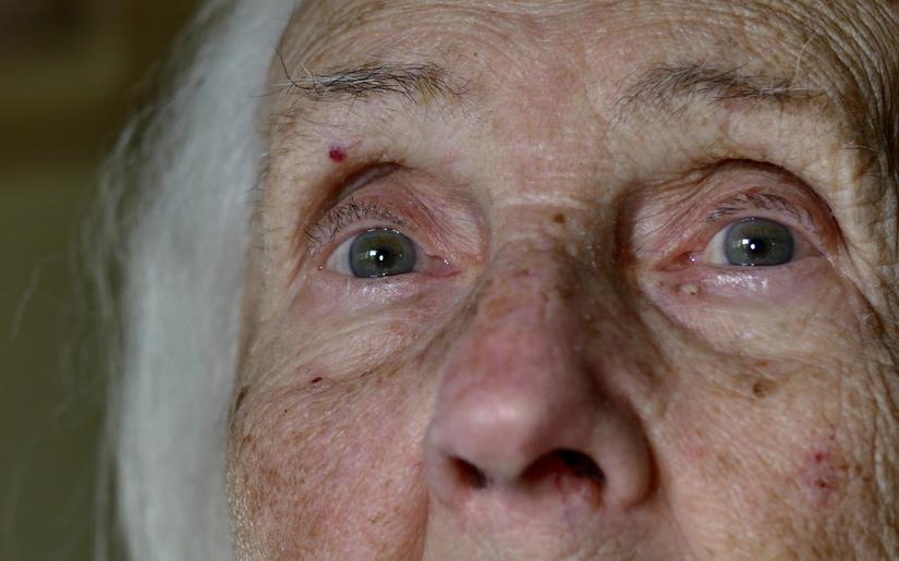 Фото: Shutterstock