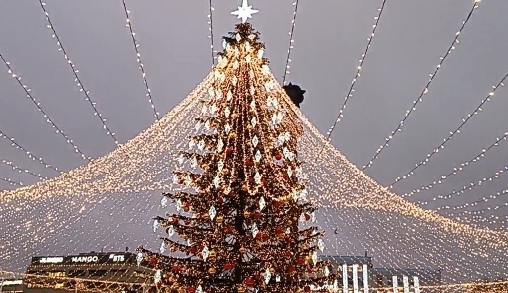 Фото: скриншот https://t.me/klgdcity/5281