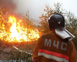МЧС: Лесные пожары в Сибири населенным пунктам не угрожают
