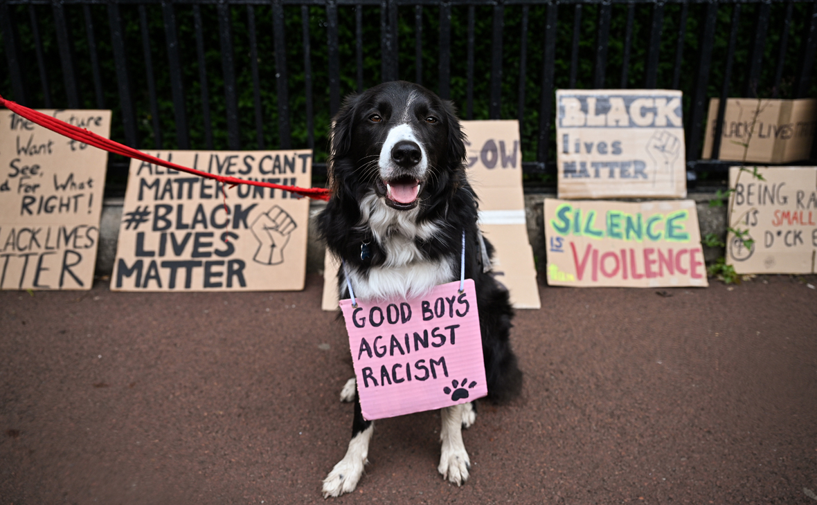 Фото: Jeff J Mitchell / Getty Images