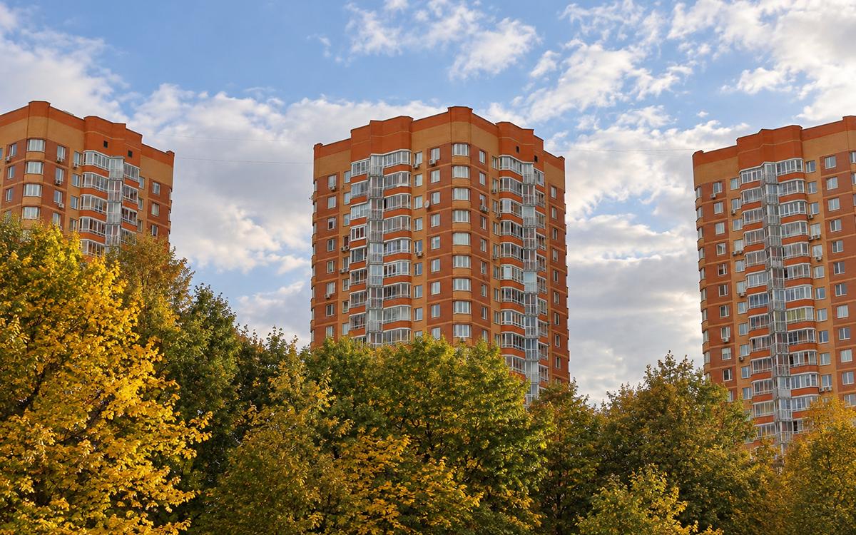 Фото: Lagutkin Alexey / Shutterstock / FOTODOM