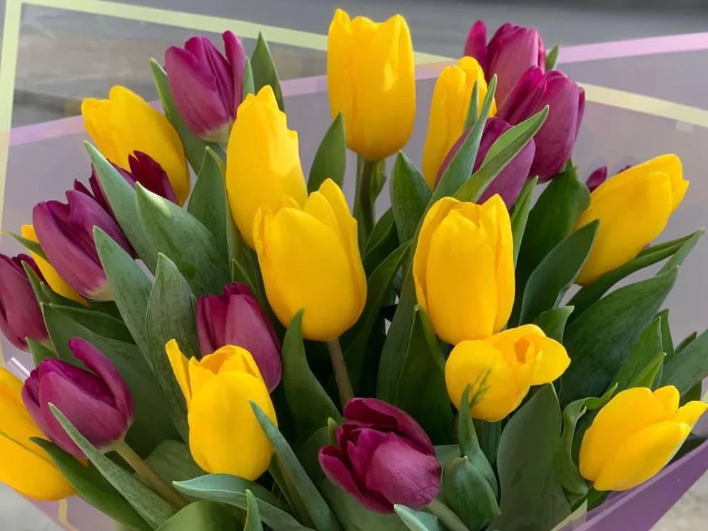 РБК Приморье