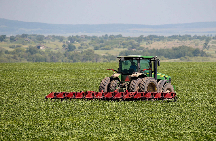 Правительство Приморского края