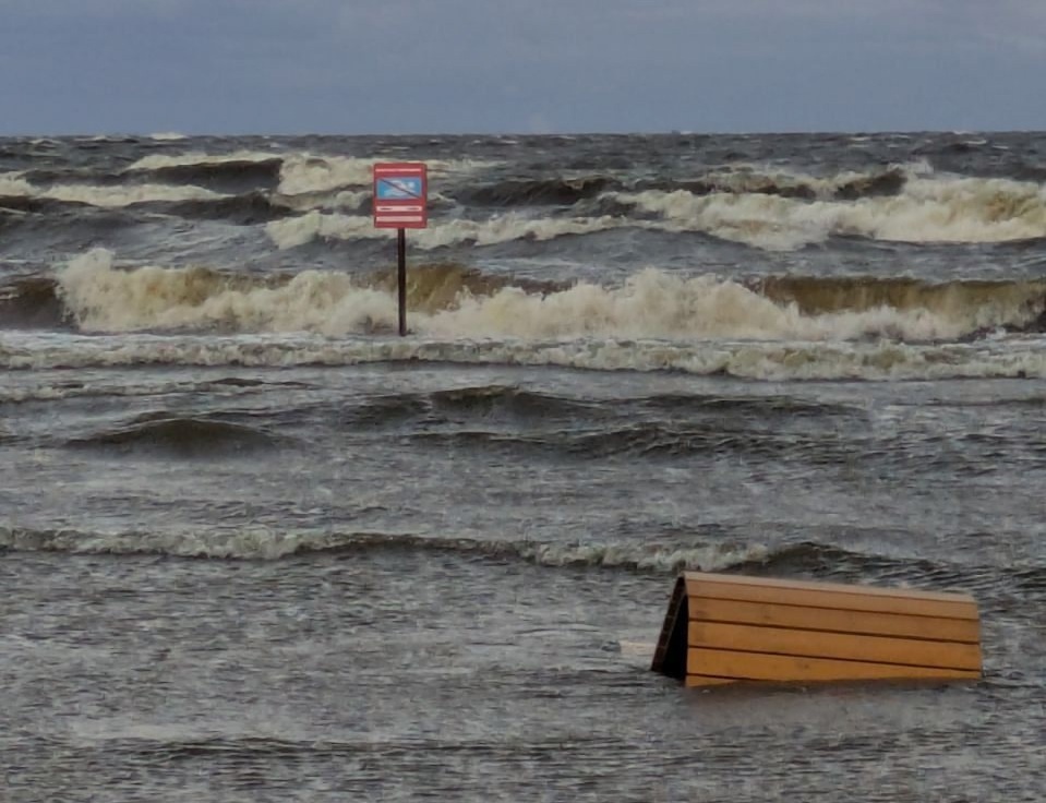 Фото: Сергей Петриченко / Комитет по благоустройству Санкт-Петербурга