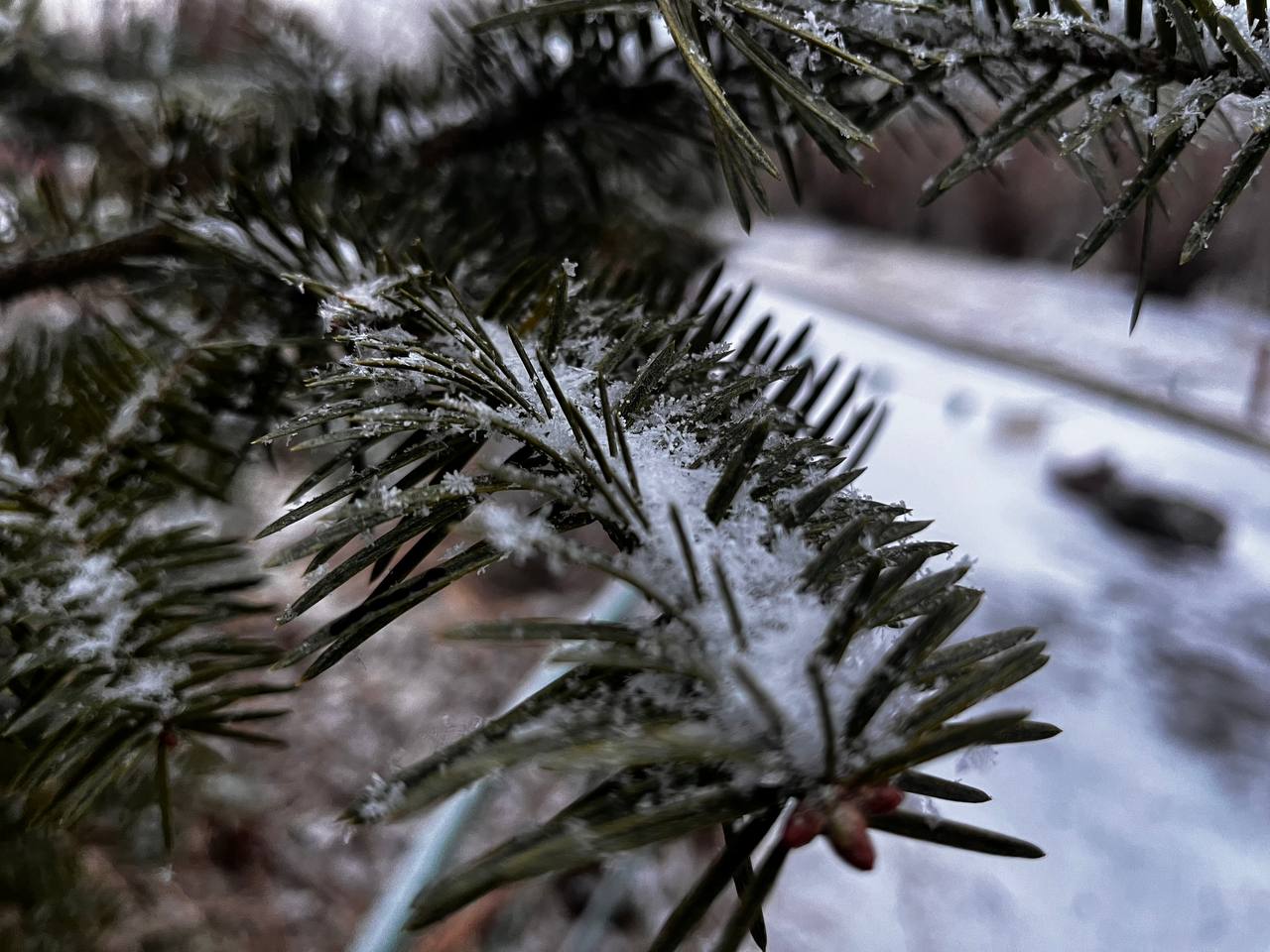 Фото: РБК Приморье