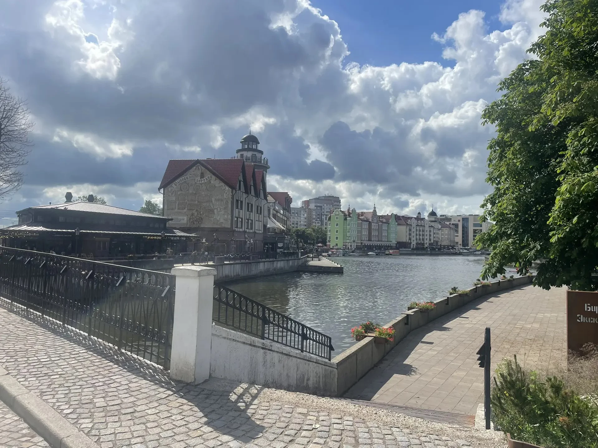 Марина Маркевич