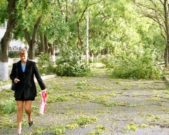 По Киеву прошел ураган: более 200 деревьев повалены, пострадали 5 человек