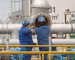 Проект нефтепровода в обход Белоруссии внесен в правительство