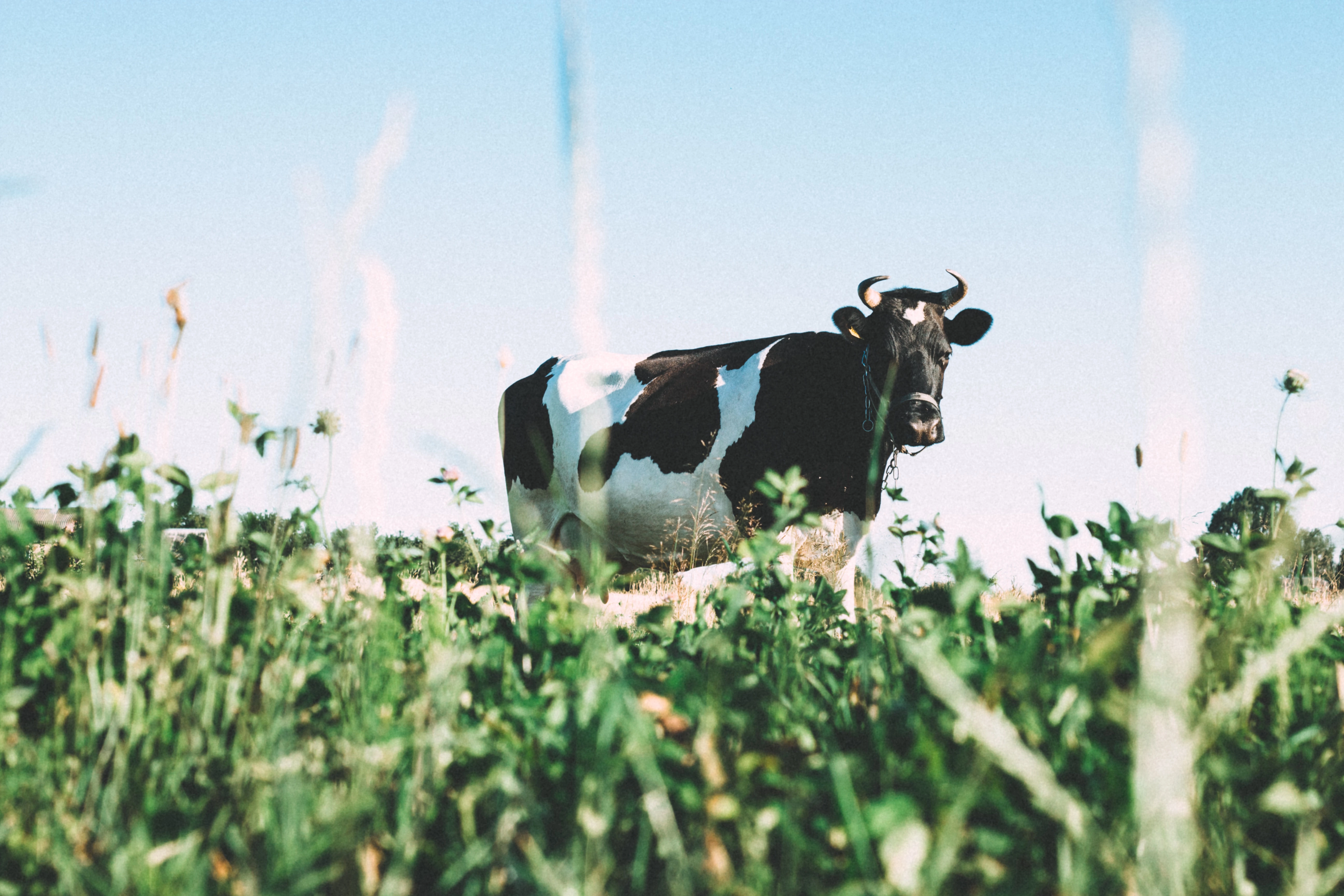 unsplash.com