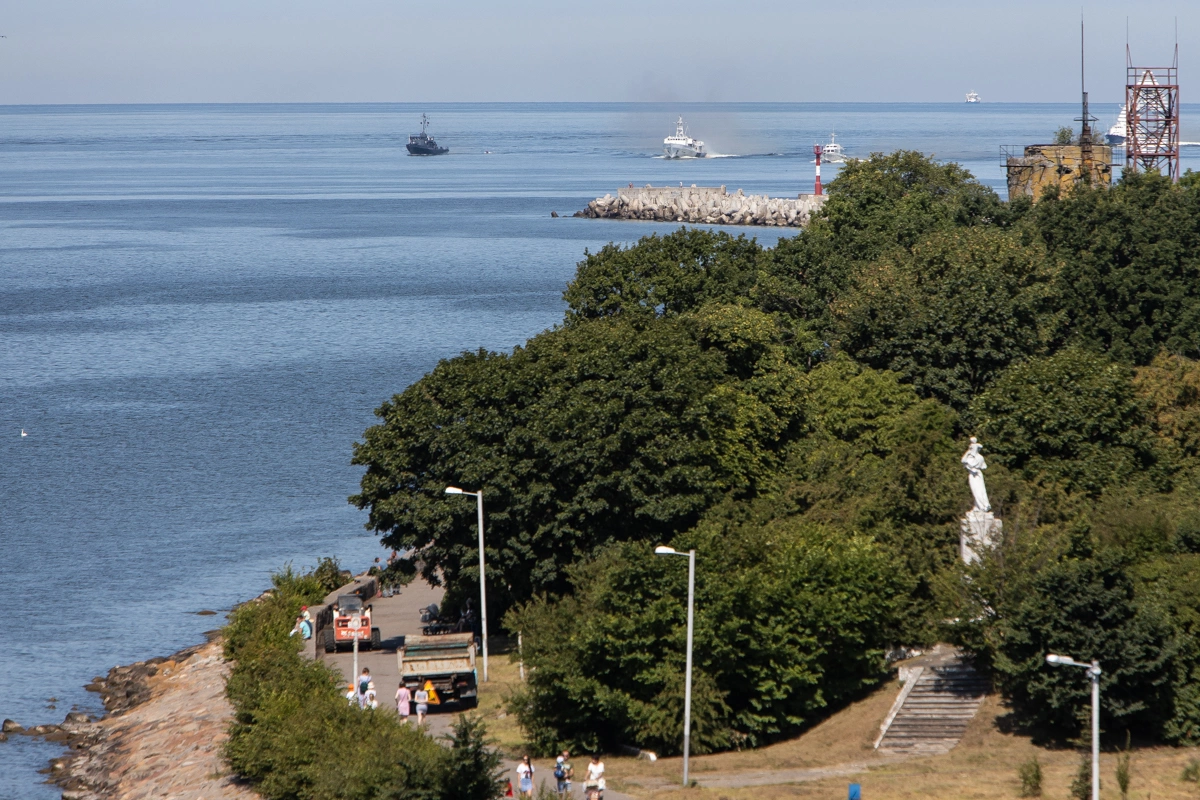 Александр Подгорчук