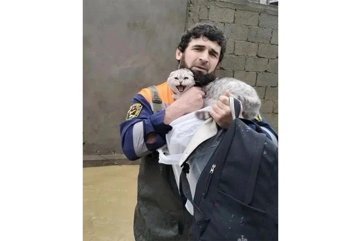 Экстренные службы Дагестана эвакуируют жителей из затопленных районов Махачкалы, 29 марта 2026 года