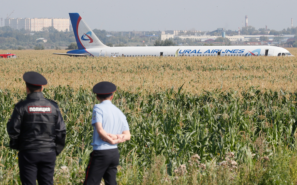 Авиакомпания рассказала о пилотах севшего в поле кукурузы лайнера