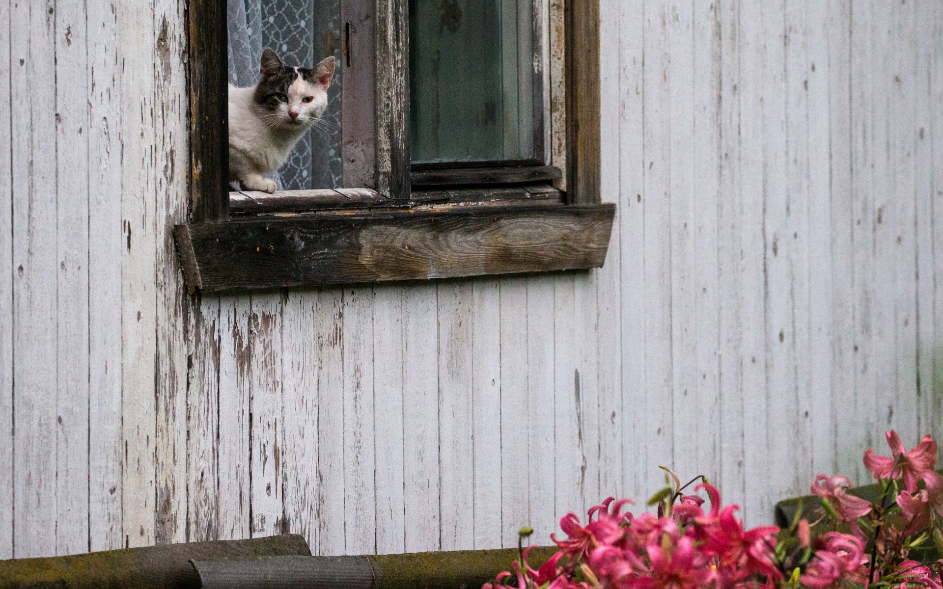 Фото: Сергей Бобылев/ТАСС