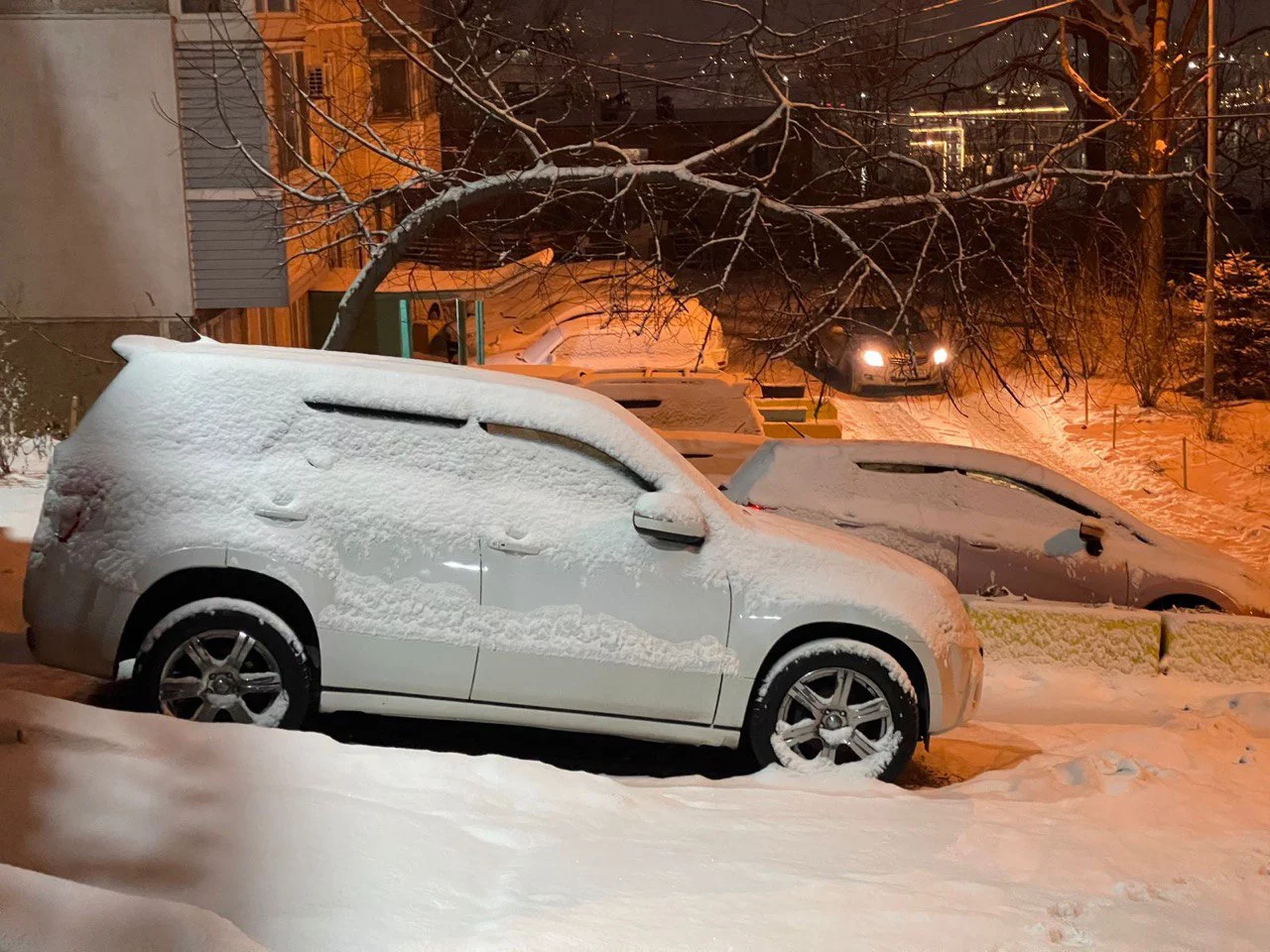 РБК Приморье