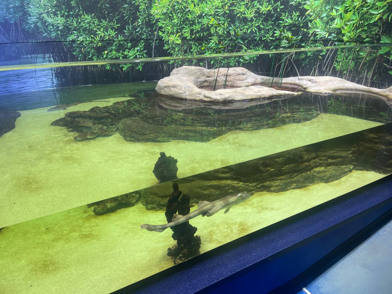 Фото: Марина Маркевич