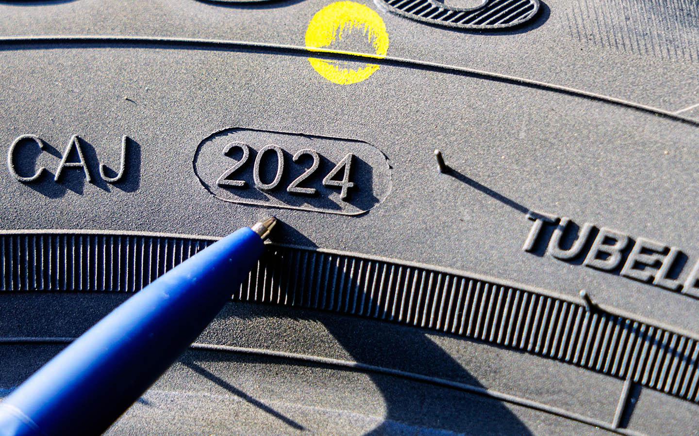 Фото: Zigmunds Dizgalvis / Shutterstock / FOTODOM