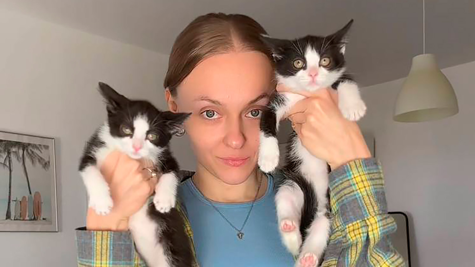 Продала бизнес и спасает котят. Рассказываем о волонтере из Петербурга