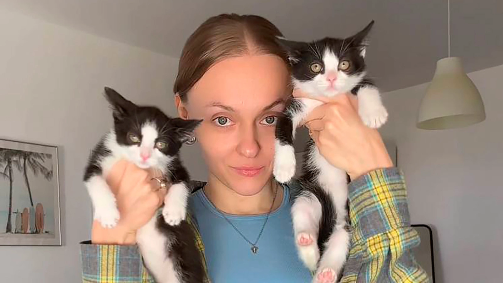 Продала бизнес и спасает котят. Рассказываем о волонтере из Петербурга