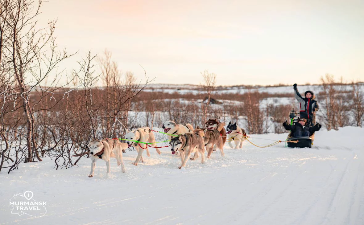 ТИЦ Мурманской области /vk.com