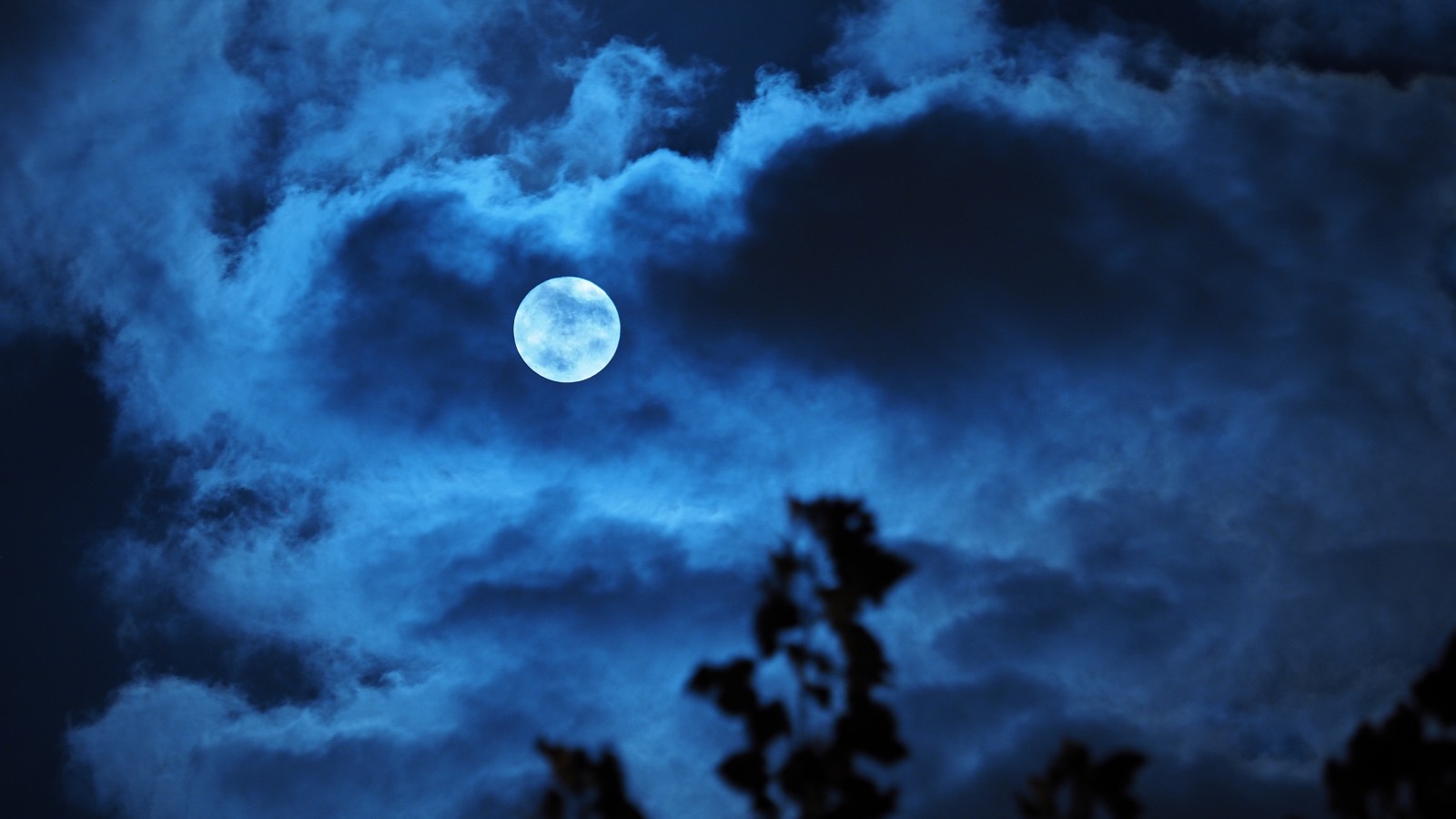 «Холодная Луна»