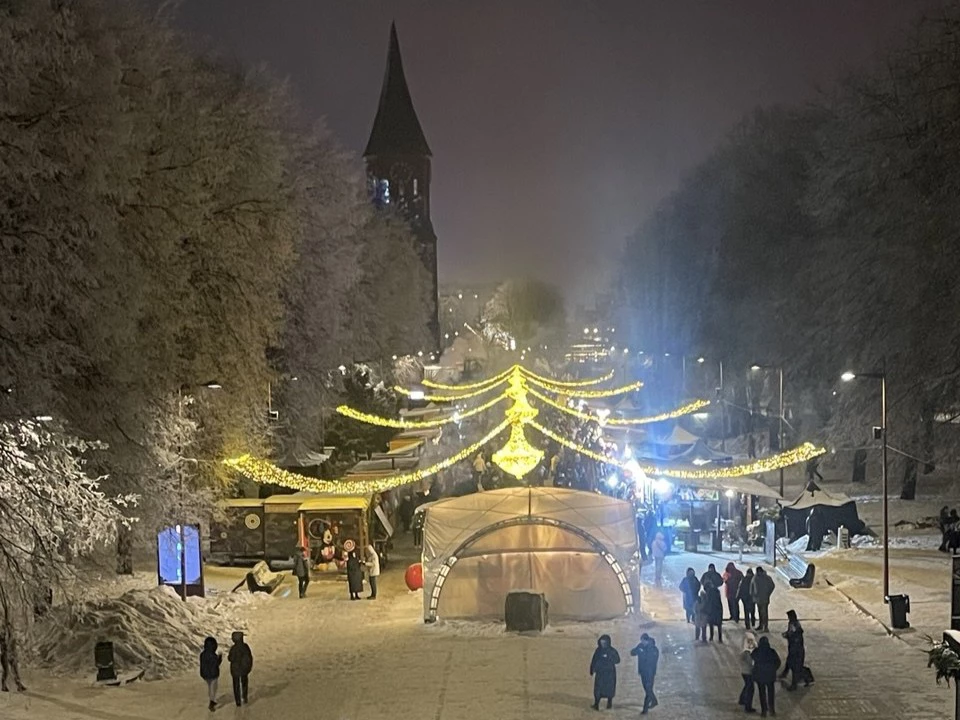 Марина Маркевич