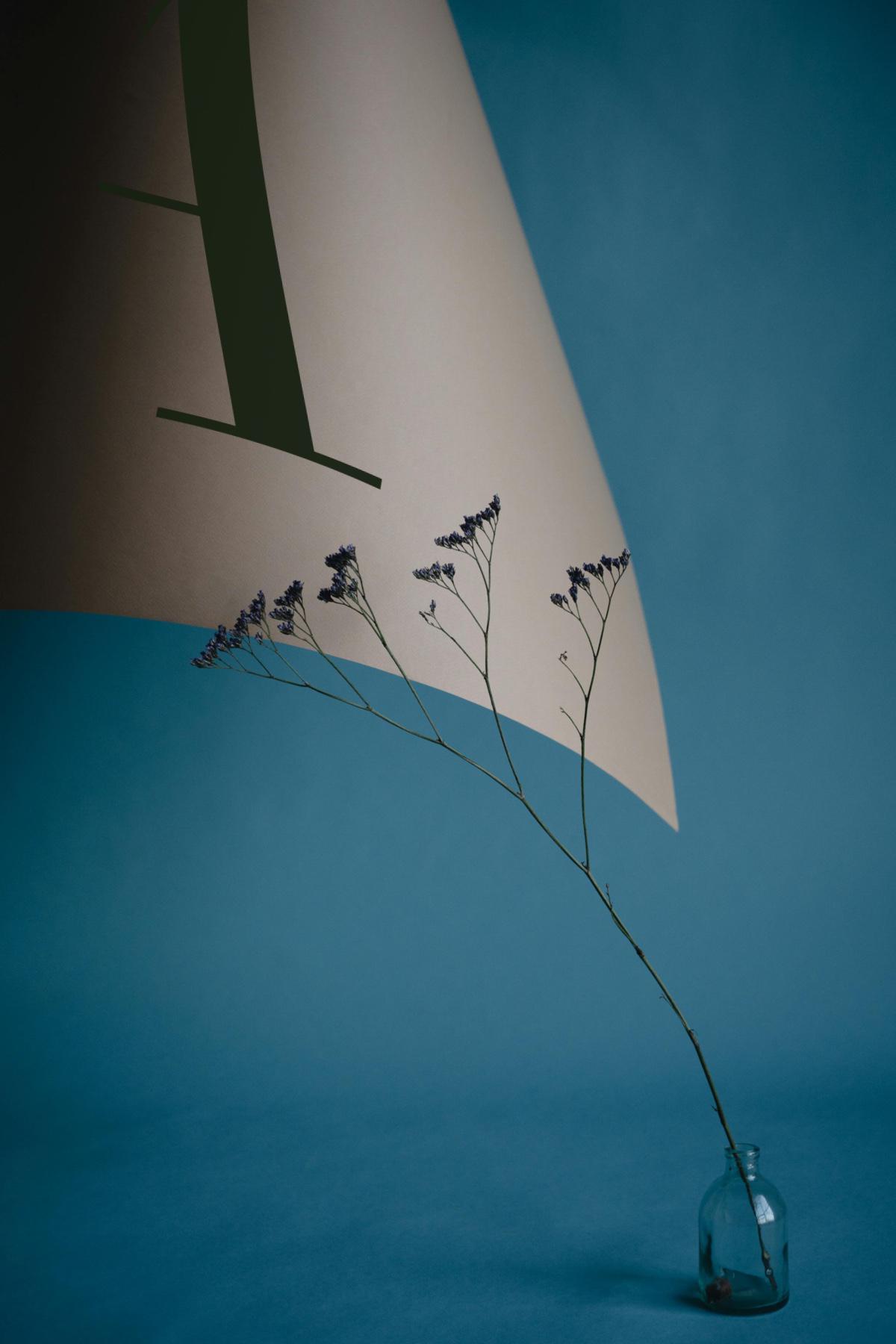 Фото: Marina Leonova / Pixels