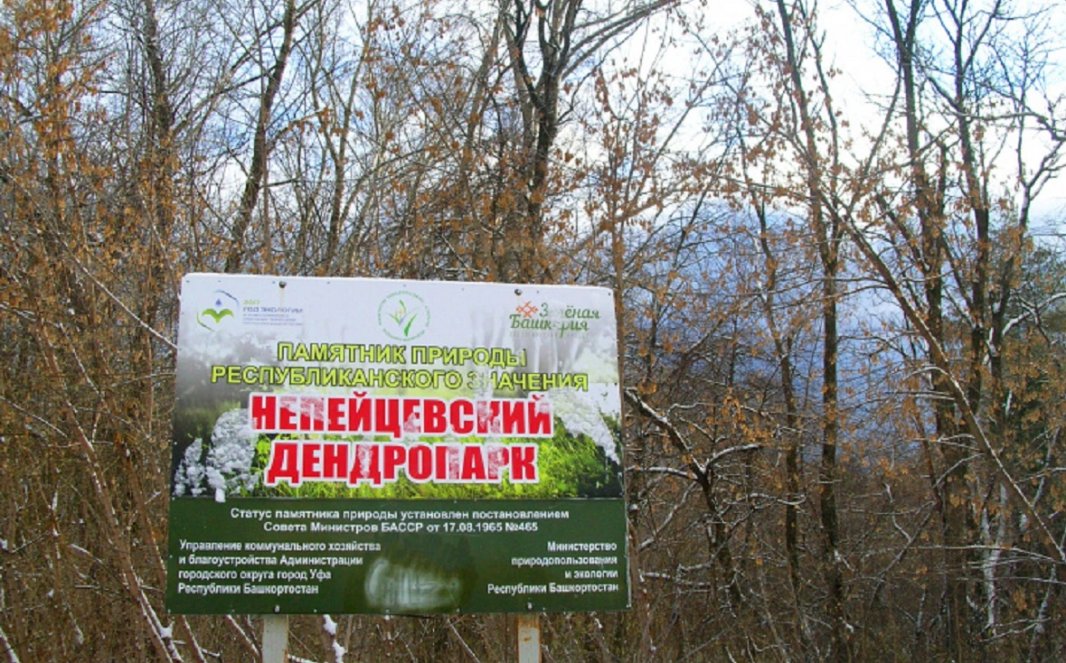 Русское географическое общество