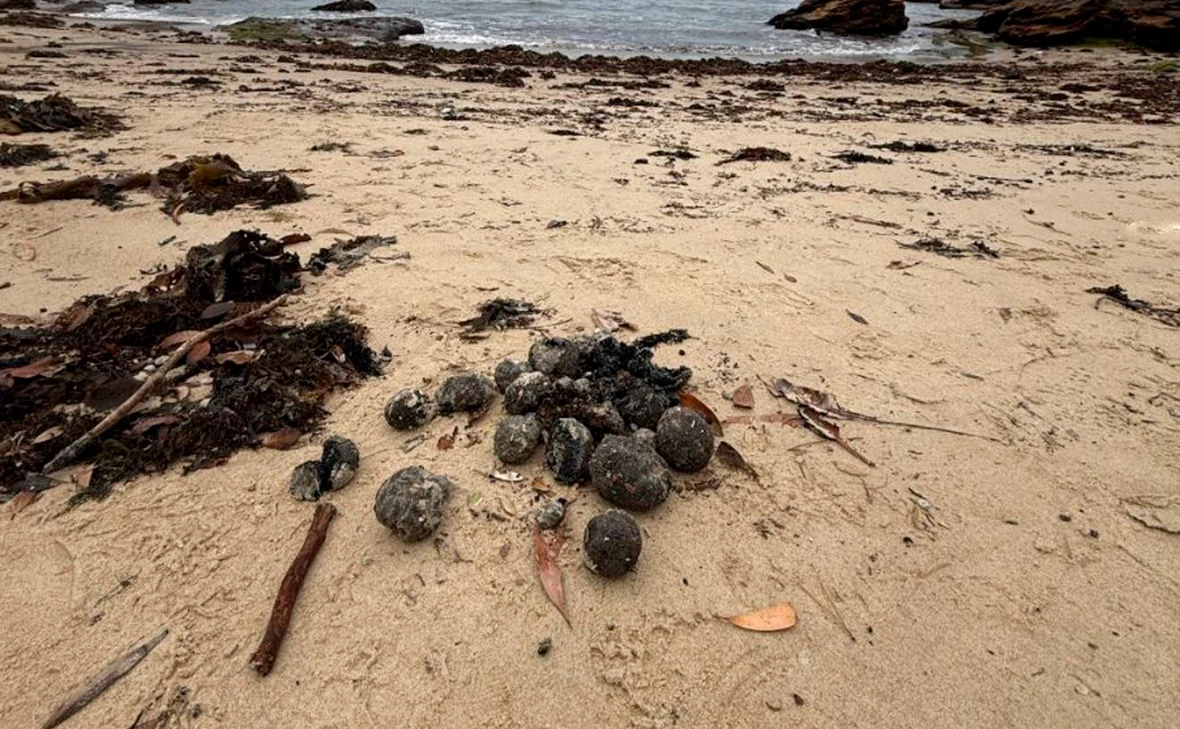 randwickcouncil / Instagram (принадлежит Meta, организация признана экстремистской и запрещена в России)