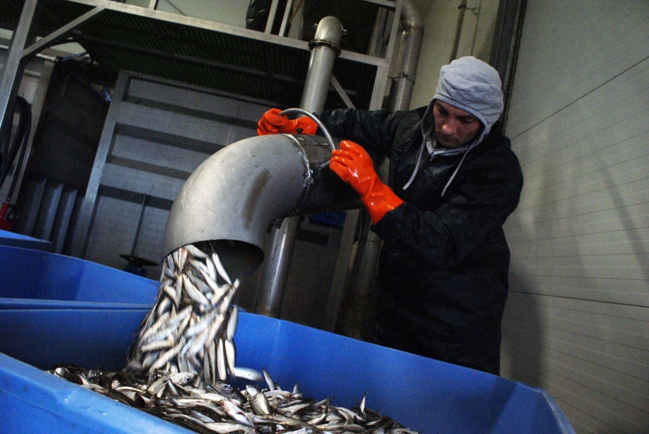 Александр Подгорчук