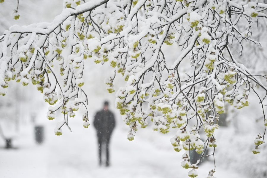 Максим Блинов / РИА Новости
