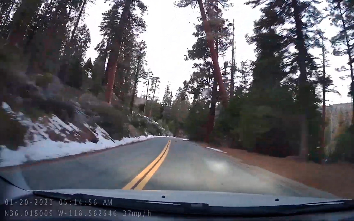 Видеорегистратор заснял падение гигантского дерева на седан Pontiac