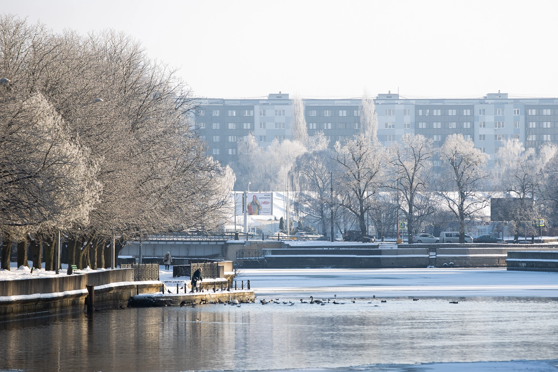 Александр Подгорчук