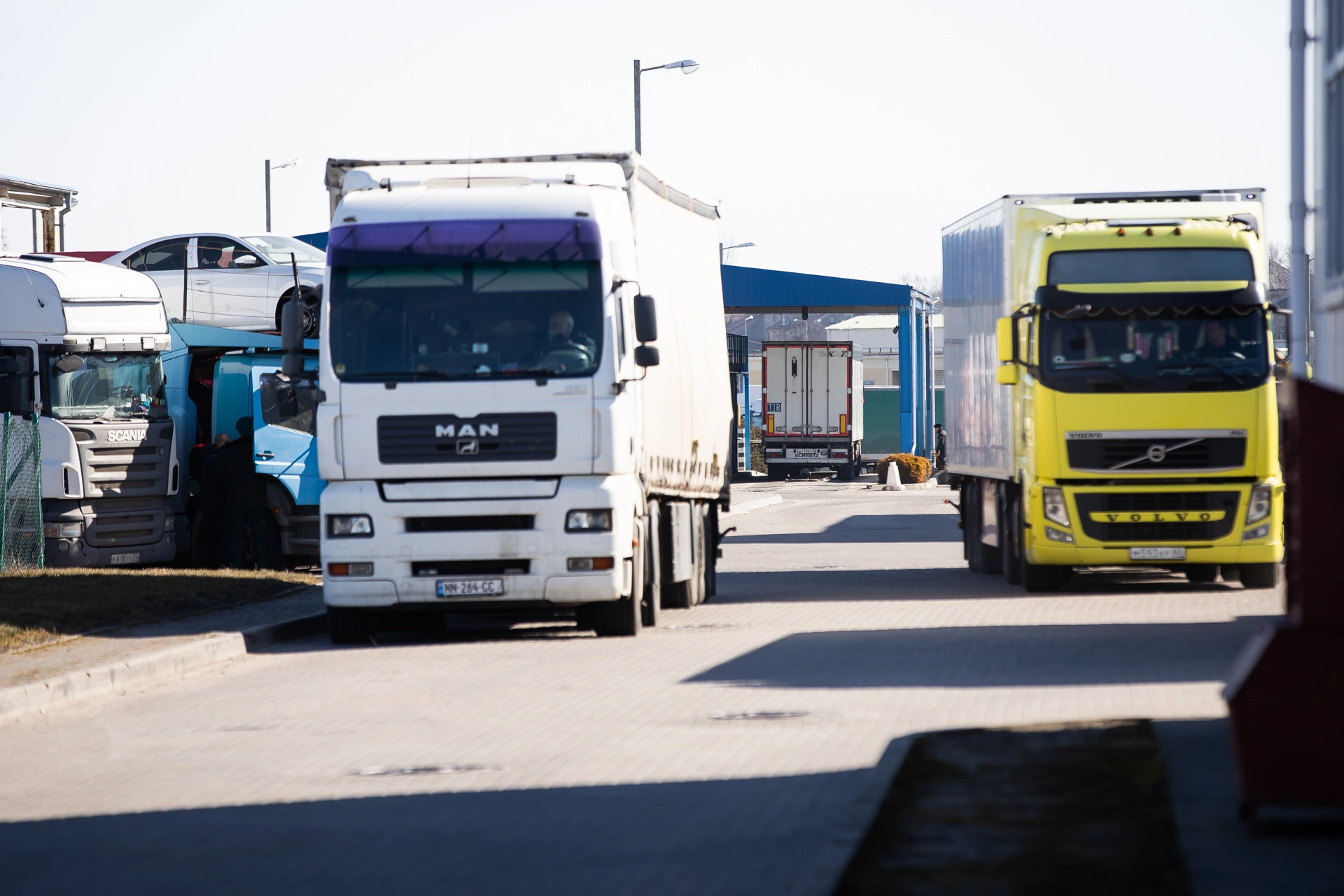 Александр Подгорчук