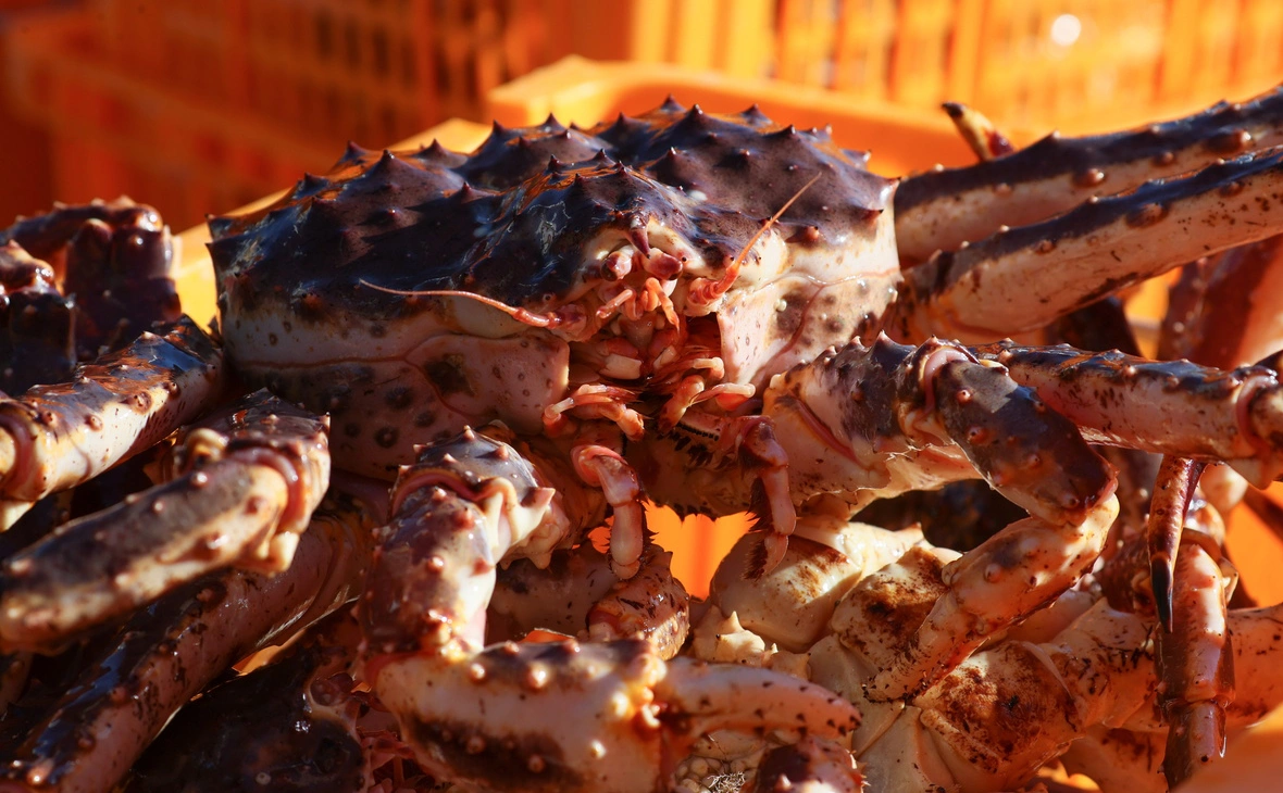 Юрий Смитюк / ТАСС