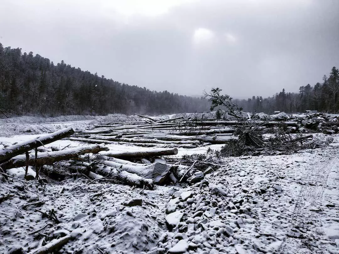 РБК Приморье