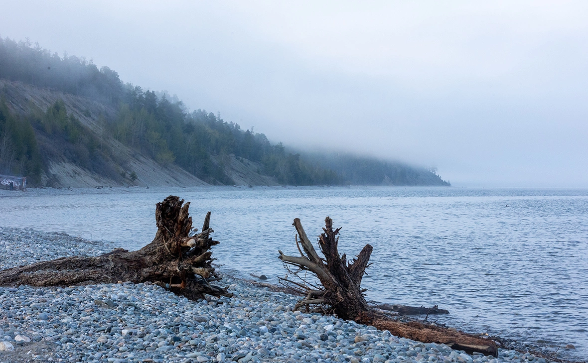 Владимир Рябчиков / ТАСС