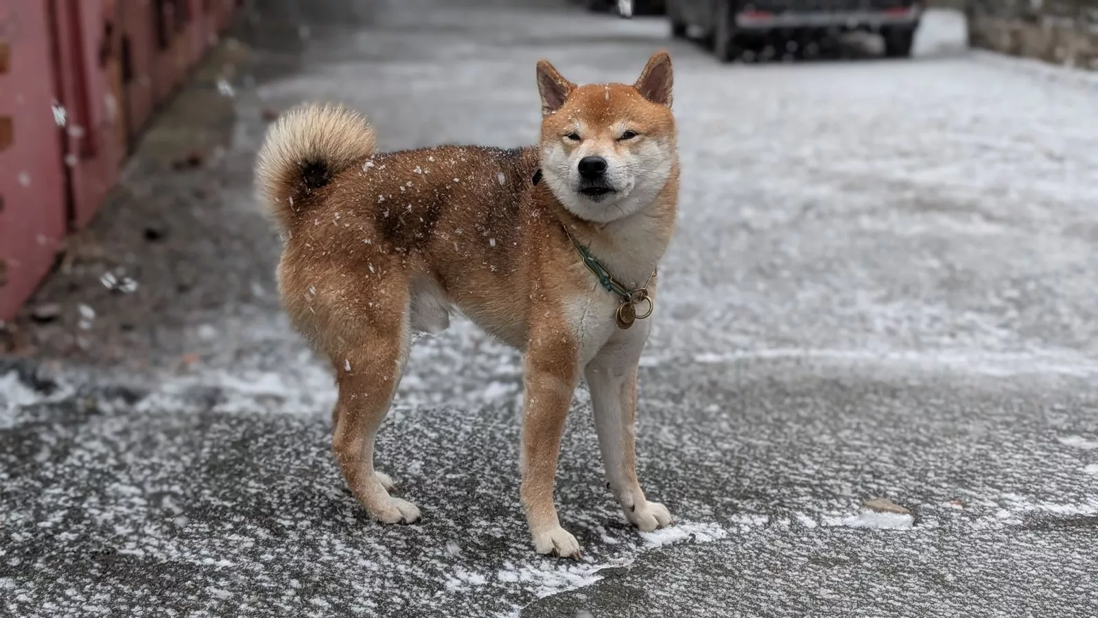 РБК Приморье
