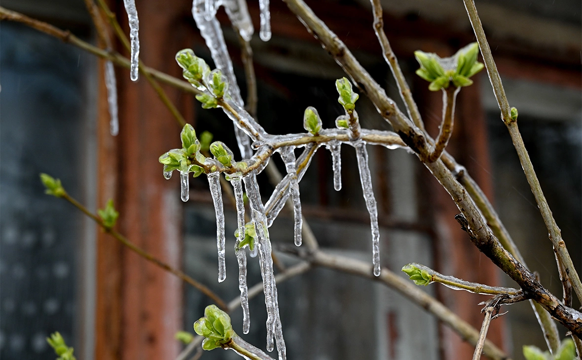 Александр Казаков / ТАСС